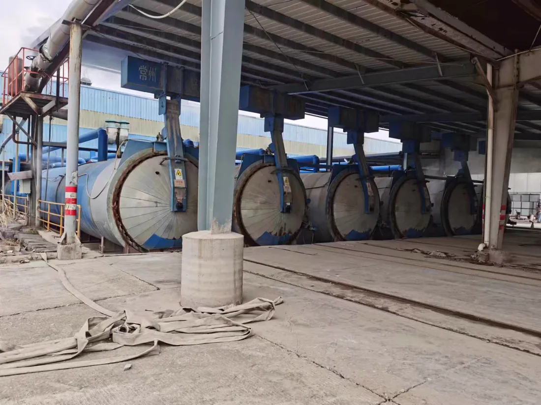 AAC autoclave curing equipment